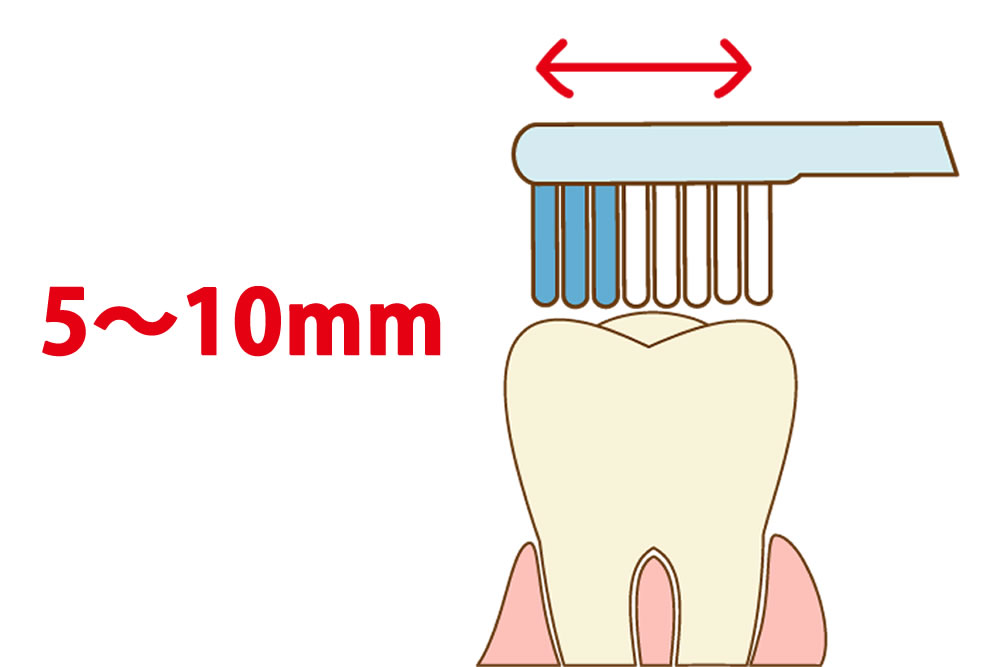 歯ブラシの動き